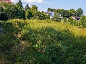 Prodej pozemku pro bydlení, Jince, 1032 m2