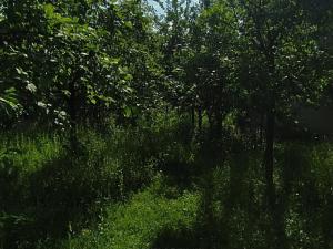 Prodej pozemku, Brumovice, 500 m2