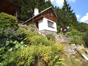 Prodej chaty, Kamýk nad Vltavou, 44 m2