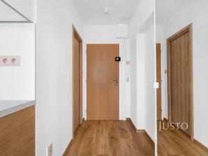 Pronájem bytu 1+1, Brno, Černého, 31 m2