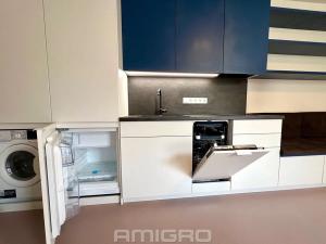 Pronájem bytu 1+kk, Brno, Peroutková, 25 m2
