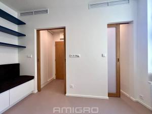 Pronájem bytu 1+kk, Brno, Peroutková, 25 m2