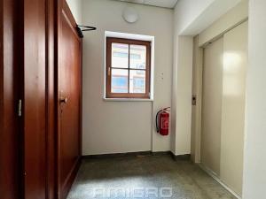 Pronájem bytu 1+kk, Brno, Peroutková, 25 m2