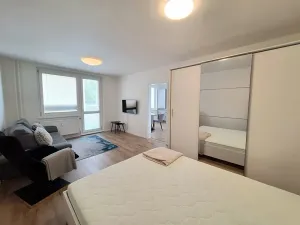 Pronájem bytu 1+1, Brno, Fleischnerova, 40 m2
