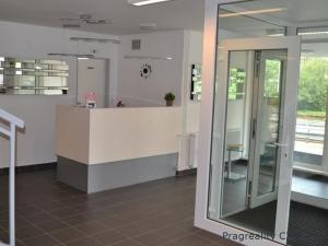 Pronájem bytu 1+kk, Praha, Hornoměcholupská, 25 m2