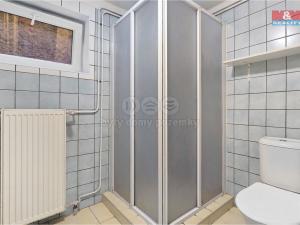 Pronájem bytu 1+kk, Dolní Bousov, Okružní, 45 m2