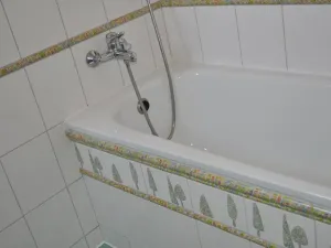 Pronájem bytu 2+kk, Praha - Žižkov, Vlkova, 52 m2