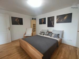 Pronájem bytu 2+1, Brno, Březová, 42 m2