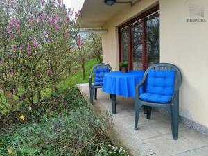 Pronájem bytu 2+1, Brno, Březová, 42 m2