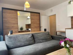 Pronájem bytu 1+kk, České Budějovice, Otakarova, 26 m2