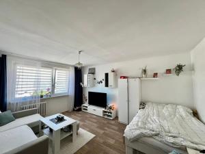 Prodej bytu 1+1, Varnsdorf, Karolíny Světlé, 37 m2