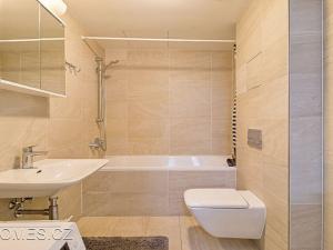 Pronájem bytu 2+kk, Praha - Holešovice, U průhonu, 60 m2