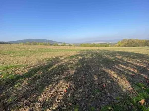 Dražba pole, Víska u Jevíčka, 5681 m2