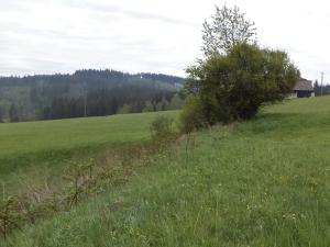 Dražba pozemku, Mosty u Jablunkova, 1105 m2