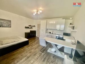 Pronájem bytu 1+kk, Ostrava, Sokolovská, 34 m2