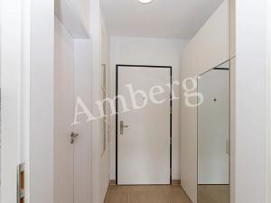 Pronájem bytu 1+kk, Praha - Žižkov, Olgy Havlové, 34 m2