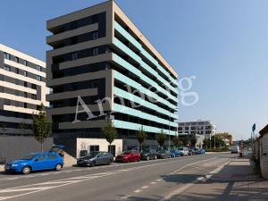 Pronájem bytu 1+kk, Praha - Žižkov, Olgy Havlové, 34 m2