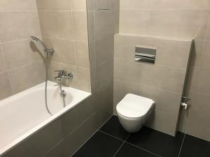 Pronájem bytu 1+kk, Praha - Žižkov, Olgy Havlové, 34 m2