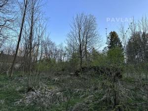 Prodej pozemku pro bydlení, Nová Bystřice, 400 m2