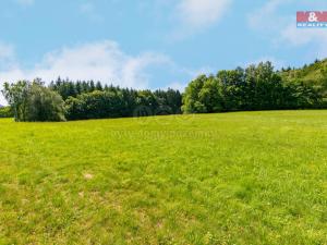 Prodej pozemku pro bydlení, Pec, 7125 m2