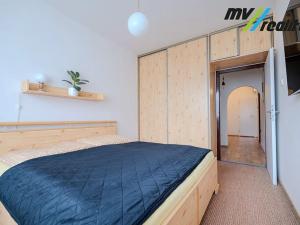 Prodej bytu 3+1, Liberec, Burianova, 74 m2