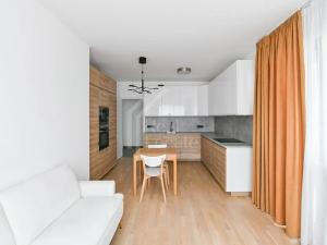 Pronájem bytu 2+kk, Praha - Vinohrady, 45 m2