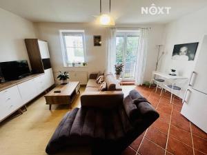 Pronájem bytu 2+kk, České Budějovice, Riegrova, 46 m2