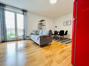 Pronájem bytu 2+kk, České Budějovice, Riegrova, 50 m2