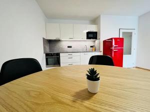 Pronájem bytu 2+kk, České Budějovice, Riegrova, 50 m2