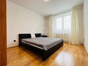 Pronájem bytu 2+kk, České Budějovice, Riegrova, 50 m2