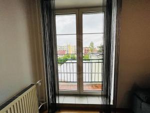 Pronájem bytu 2+kk, České Budějovice, Riegrova, 50 m2