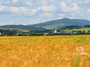 Prodej chaty, Červená Voda - Dolní Orlice, 202 m2