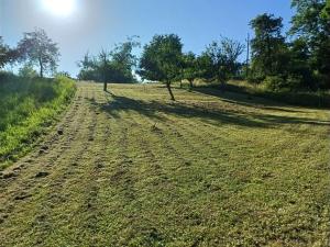 Prodej zahrady, Bařice-Velké Těšany, 1544 m2