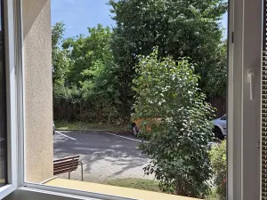 Prodej bytu 2+1, Chlumec, Krokova, 61 m2