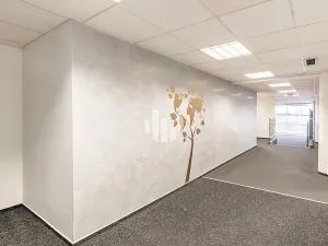 Pronájem kanceláře, Praha - Nové Město, Krakovská, 412 m2
