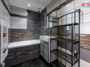 Prodej rodinného domu, Stříbrná, 326 m2