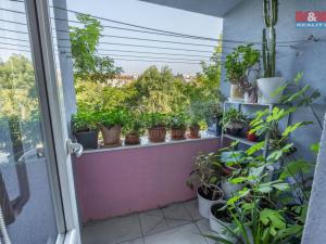 Prodej bytu 3+kk, Praha - Libeň, Na Rokytce, 76 m2