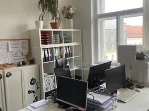 Pronájem kanceláře, Praha - Nové Město, Opletalova, 53 m2