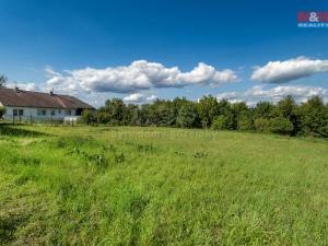 Prodej pozemku pro bydlení, Niměřice - Horní Cetno, 1243 m2