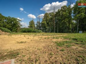 Prodej pozemku pro bydlení, Niměřice - Horní Cetno, 1211 m2