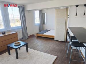 Pronájem bytu 1+kk, Praha - Karlín, Molákova, 35 m2