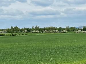 Prodej pole, Brno, 11752 m2