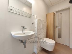 Pronájem bytu 1+1, Chomutov, Blatenská, 35 m2