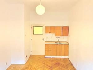 Pronájem bytu 1+kk, Praha - Holešovice, Schnirchova, 20 m2