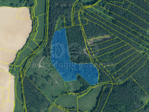 Prodej lesa, Sušice - Chmelná, 33931 m2