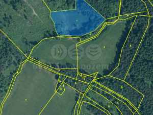 Prodej lesa, Sušice - Chmelná, 33931 m2