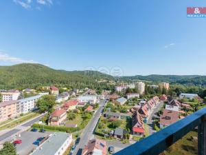 Pronájem bytu 3+1, Nejdek, Lipová, 72 m2