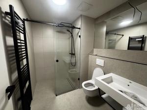 Pronájem bytu 2+kk, Praha - Vinohrady, Korunní, 37 m2