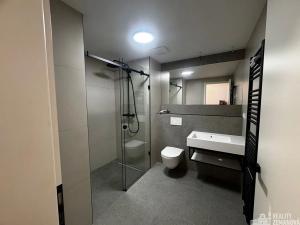 Pronájem bytu 1+kk, Praha - Vinohrady, Korunní, 27 m2