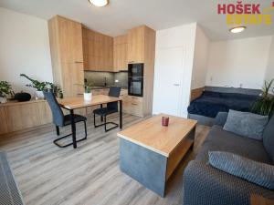 Prodej bytu 1+kk, Brno, Střední, 36 m2